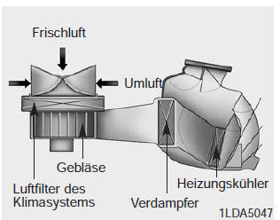 Luftfilter des Klimasystems