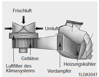 Luftfilter des Klimasystems 