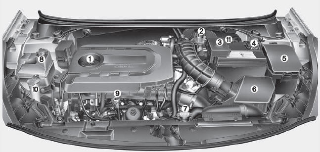 Dieselmotor