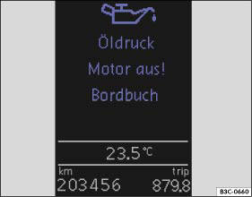 Abb. 13 Prinzipdarstellung: Symbol und Warntext im Display des Kombi-Instruments.