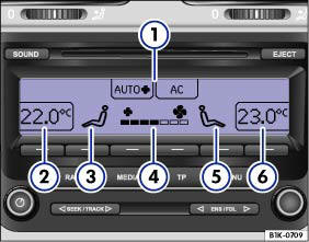 Abb. 114 Monochromdisplay: Informationen der Climatronic.