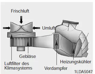 Luftfilter des Klimasystems