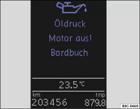 Abb. 13 Prinzipdarstellung: Symbol und Warntext im Display des Kombi-Instruments.